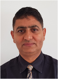 Prof. Vishnu Pareek